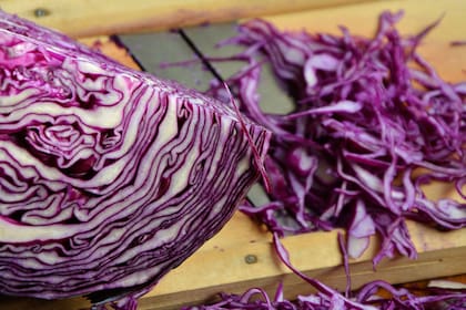 El repollo, tal su nombre vulgar, tiene un lugar emblemático en casi todas las cocinas del mundo, desde el kimchee coreano, hasta el s’chee de Rusia, el cocannon irlandés o el bubble-and-squeak inglés.