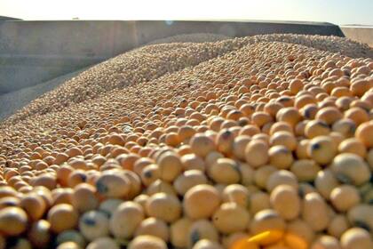 El mercado prevé un nuevo recorte de las existencias estadounidenses de soja