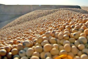 El reporte destaca la presión de China sobre el mercado en Sudamérica