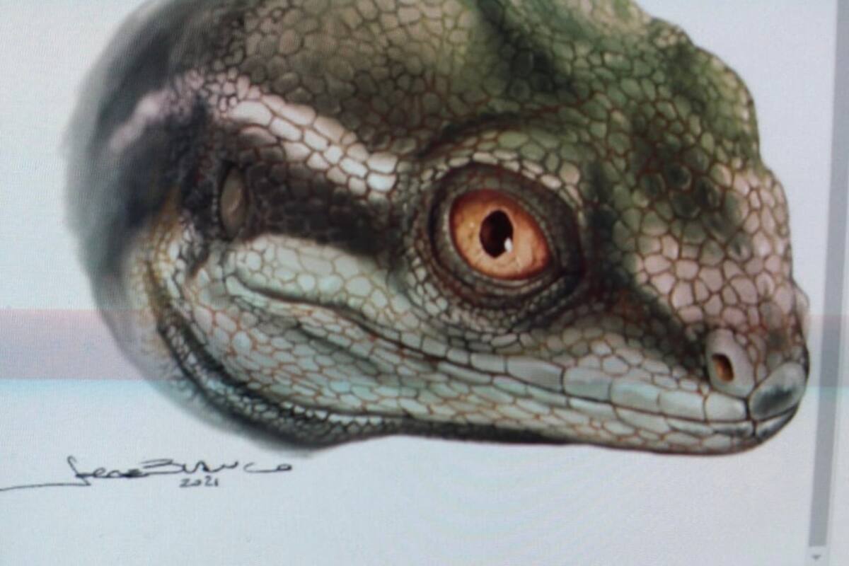 El reptil fue bautizado como Taytalura alcoberi