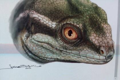 El reptil fue bautizado como Taytalura alcoberi