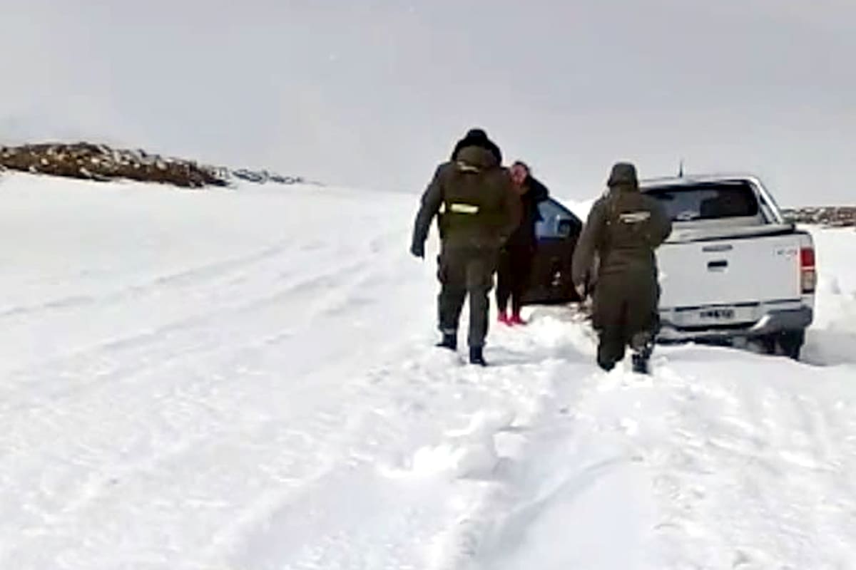 El rescate fue a la vera de la ruta 13, camino a Plottier