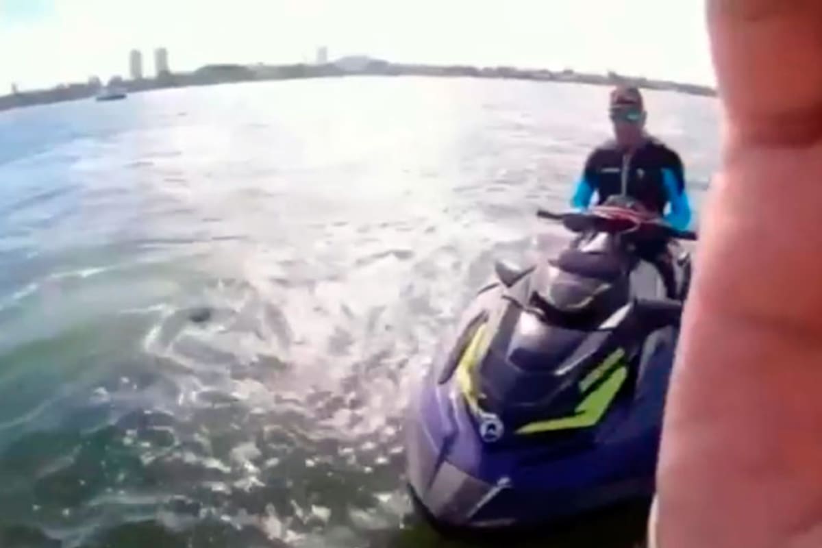 El rescatista se llama Nick Tuduri y el hecho ocurrió frente a la bahía de Biscayne, Florida (Estados Unidos)