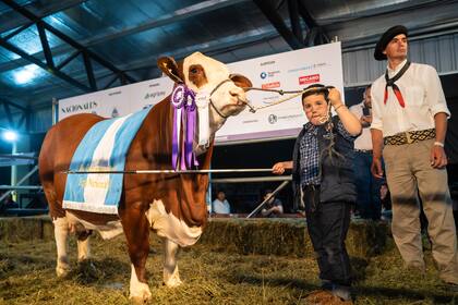 El Reservado de Gran Campeón Hembra Braford se vendió al 50%