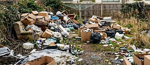 Vive entre dos mansiones y su casa vale US$1,3 millones, pero sus vecinos denuncian plagas y basura