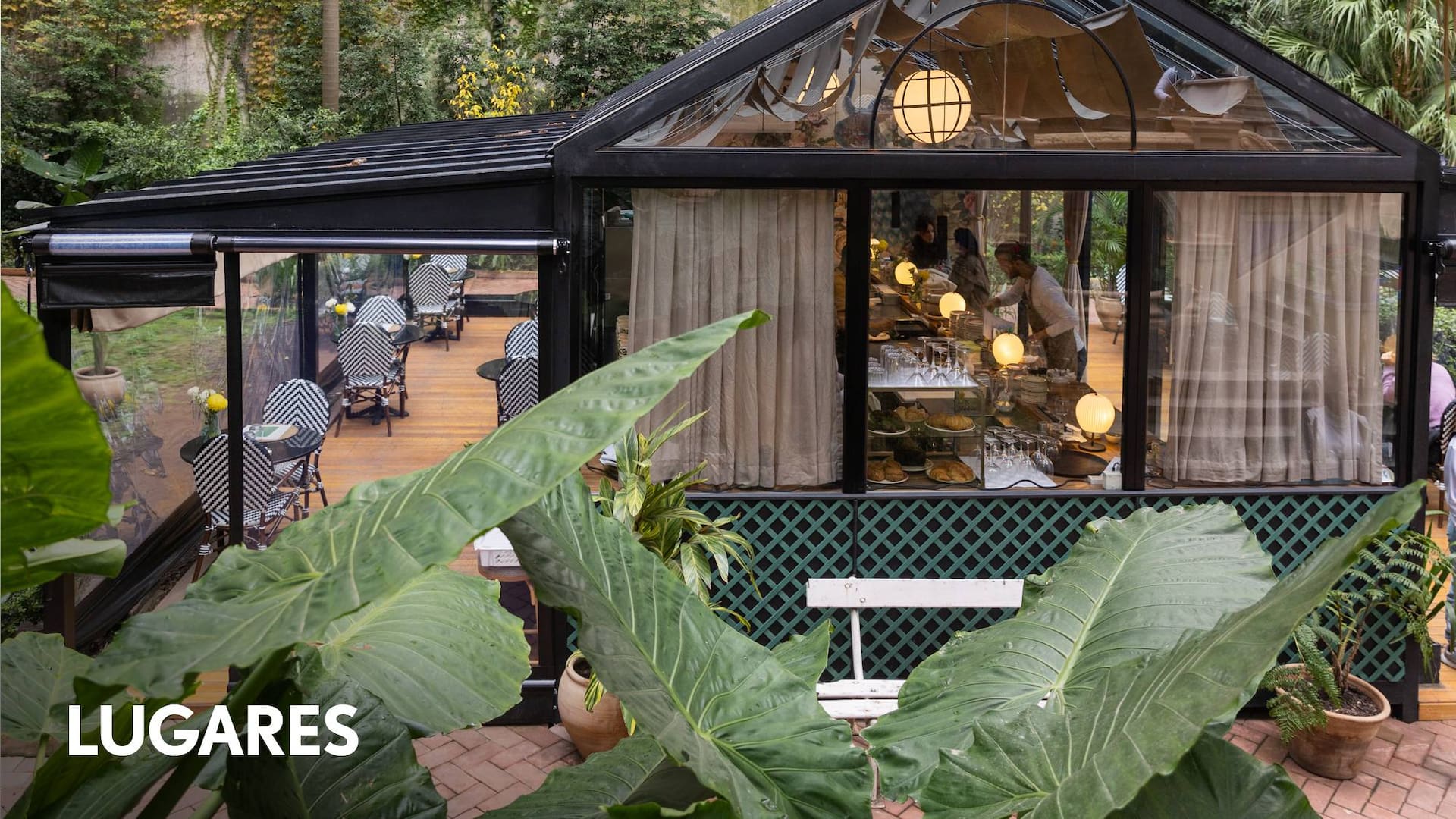 El restaurante funciona en un viejo invernadero y está completamente integrado a su entorno con una terraza rodeada de altísimas palmeras y palos borrachos.