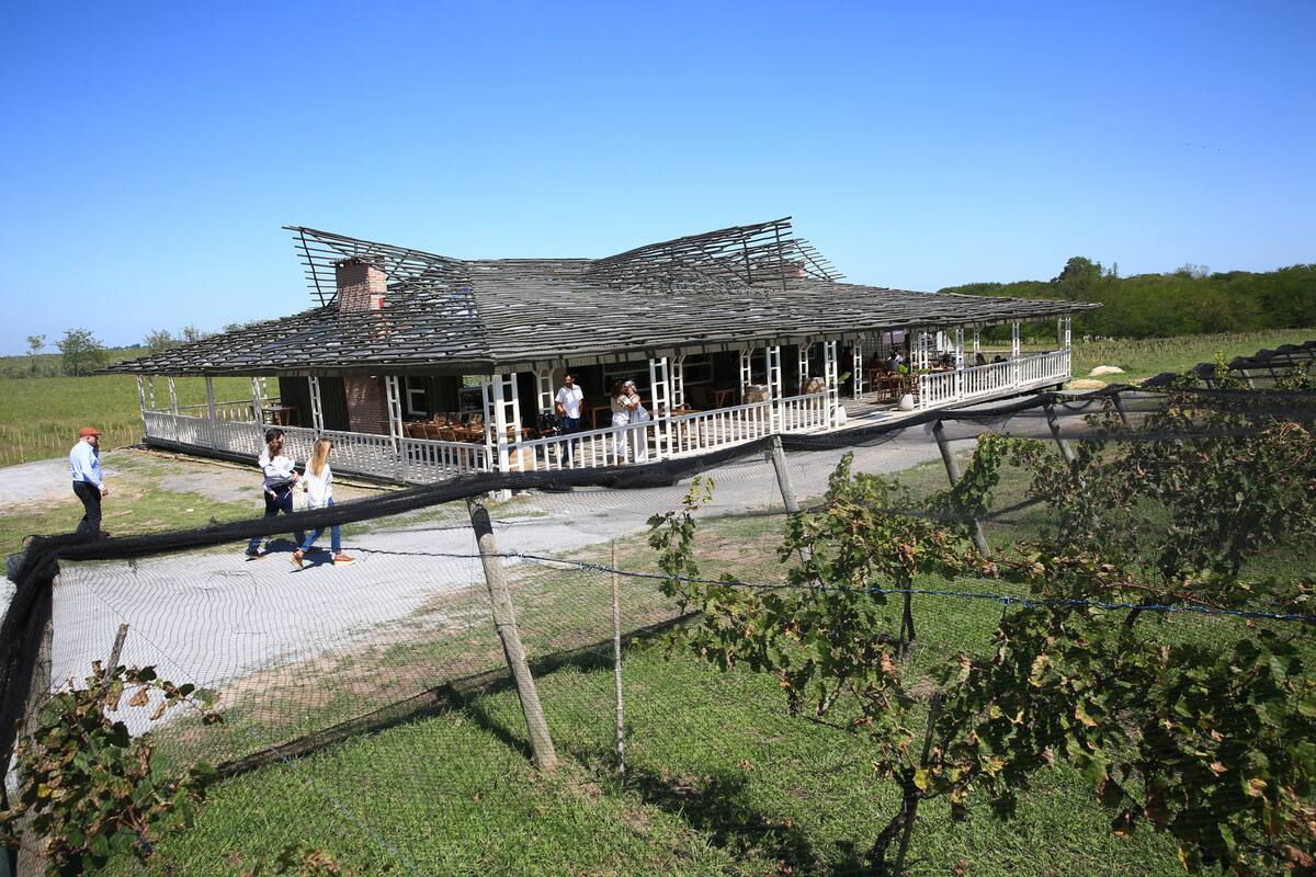El restaurante, recién inaugurado, tiene estructura para un "techo verde" donde crecerán vides