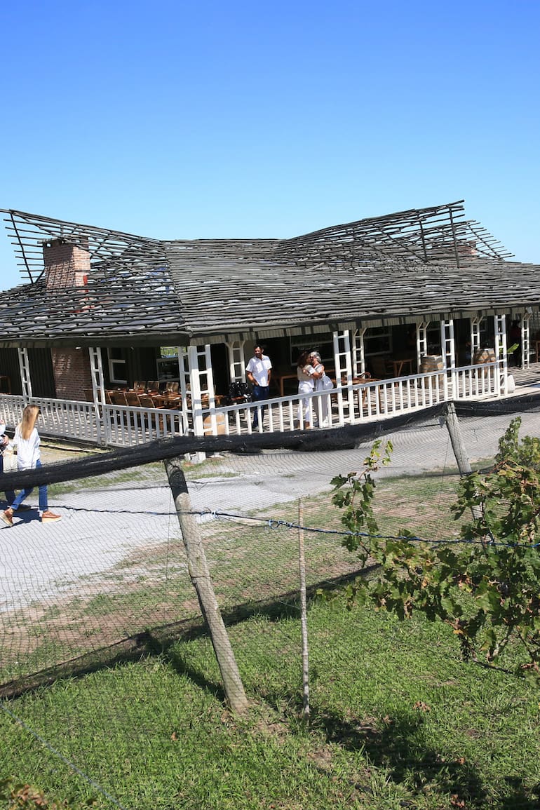 El restaurante, recién inaugurado, tiene estructura para un "techo verde" donde crecerán vides