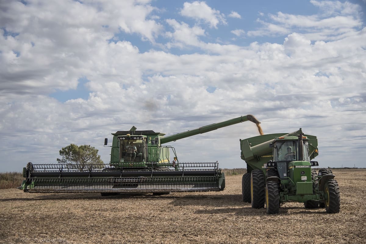 El resultado final depende, en buena medida, de la toma de decisiones en el comienzo del ciclo