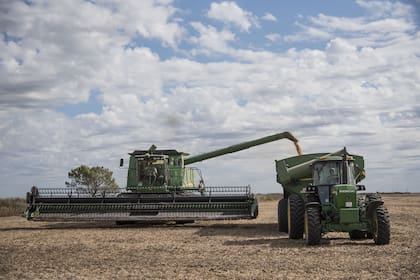 Según la encuesta de la Universidad Austral, la recuperación e importante alza de los precios internacionales de la soja, el maíz y el trigo, con su correlato local, resulta un factor importante en el cambio de expectativas de los productores
