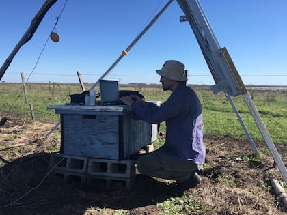 El resultado principal del estudio es que en una rotación completa de tres años, una hectárea agrícola perdió casi dos toneladas de carbono, mientras que una de pastizal pastoreado ganó cerca de cuatro toneladas