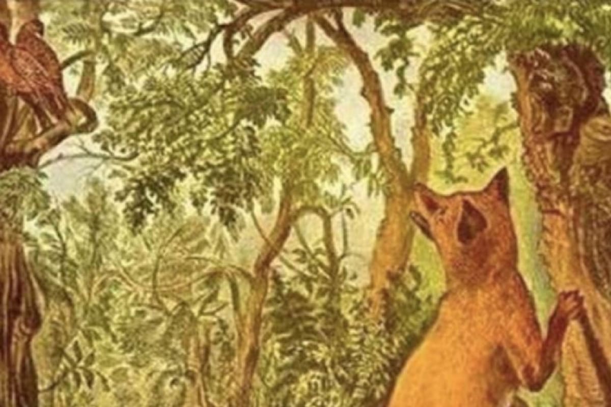 El reto viral que solo un 5% logra resolver.