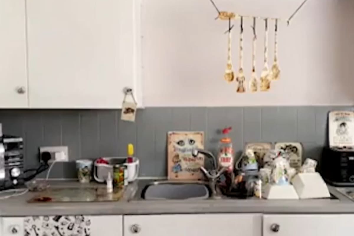 El reto visual consiste en encontrar al gato oculto antes de los 15 segundos