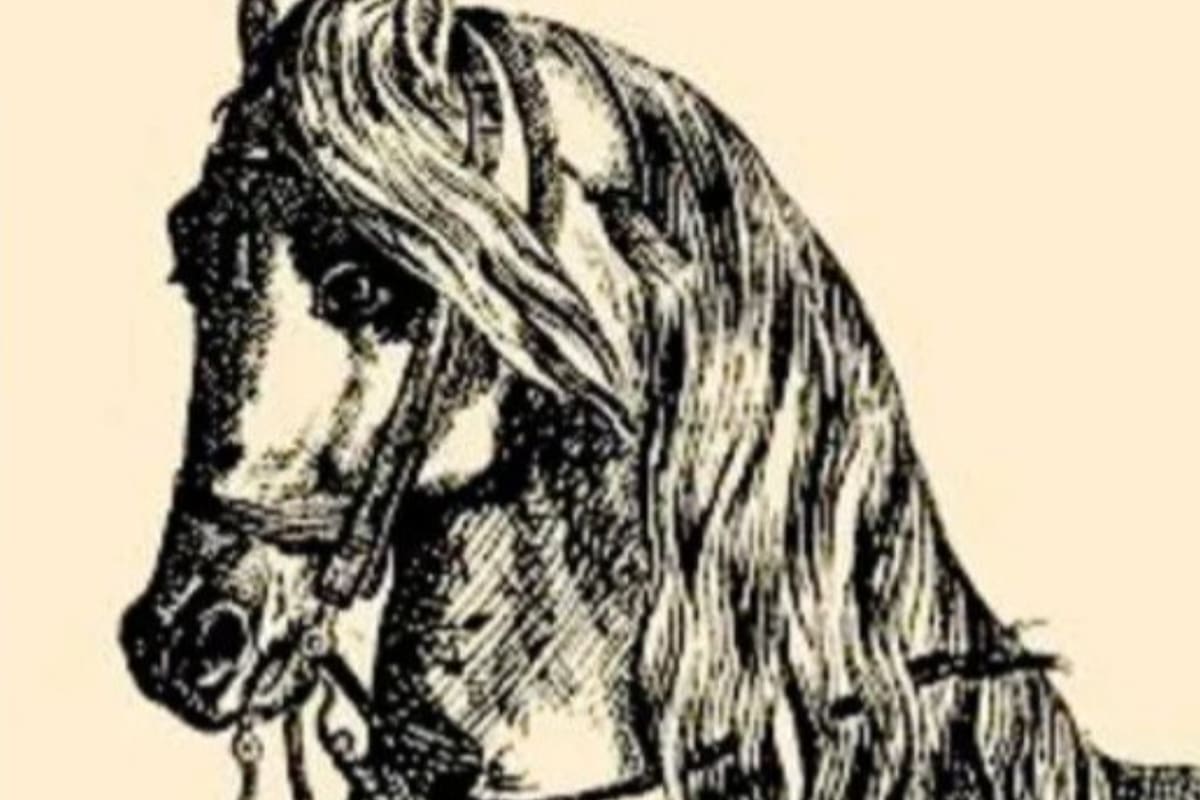 El reto visual consiste en encontrar al jinete oculto antes de los 20 segundos