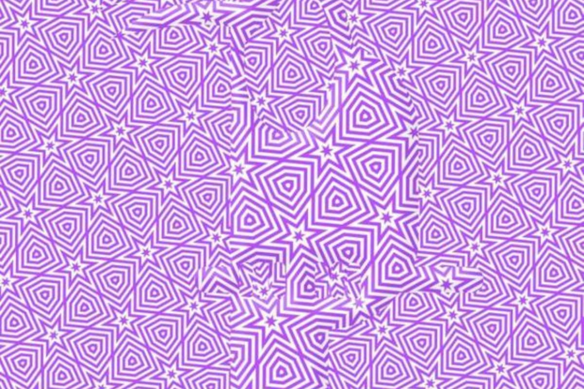 El reto visual que atrapa a los usuarios en las redes sociales y esconde la figura de un animal