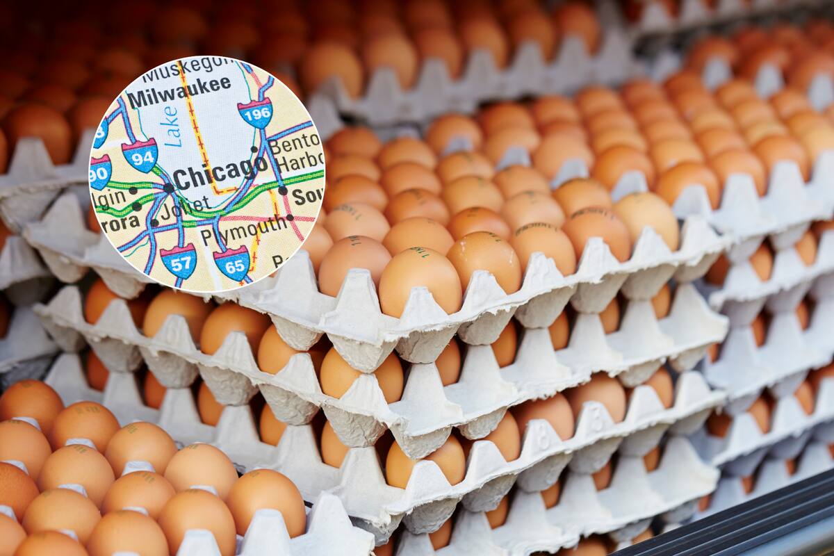 El reverendo Charlie Dates lidera la distribución de 40.000 huevos en el South Side de Chicago para ayudar a familias afectadas por la crisis de precios