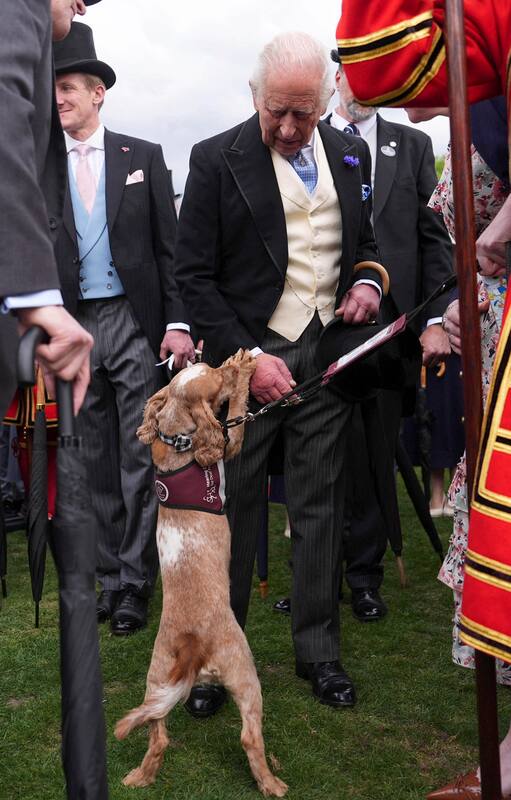 El rey Carlos III con un perro de asistencia auditiva en los jardines del palacio