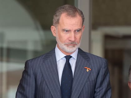 El rey Felipe VI de España