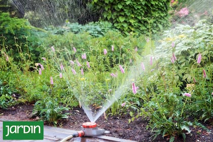 El riego bien planificado se nota en la fortaleza y el color del jardín