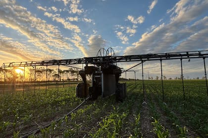 El riego es una de las inversiones necesarias para desarrollar las zonas áridas