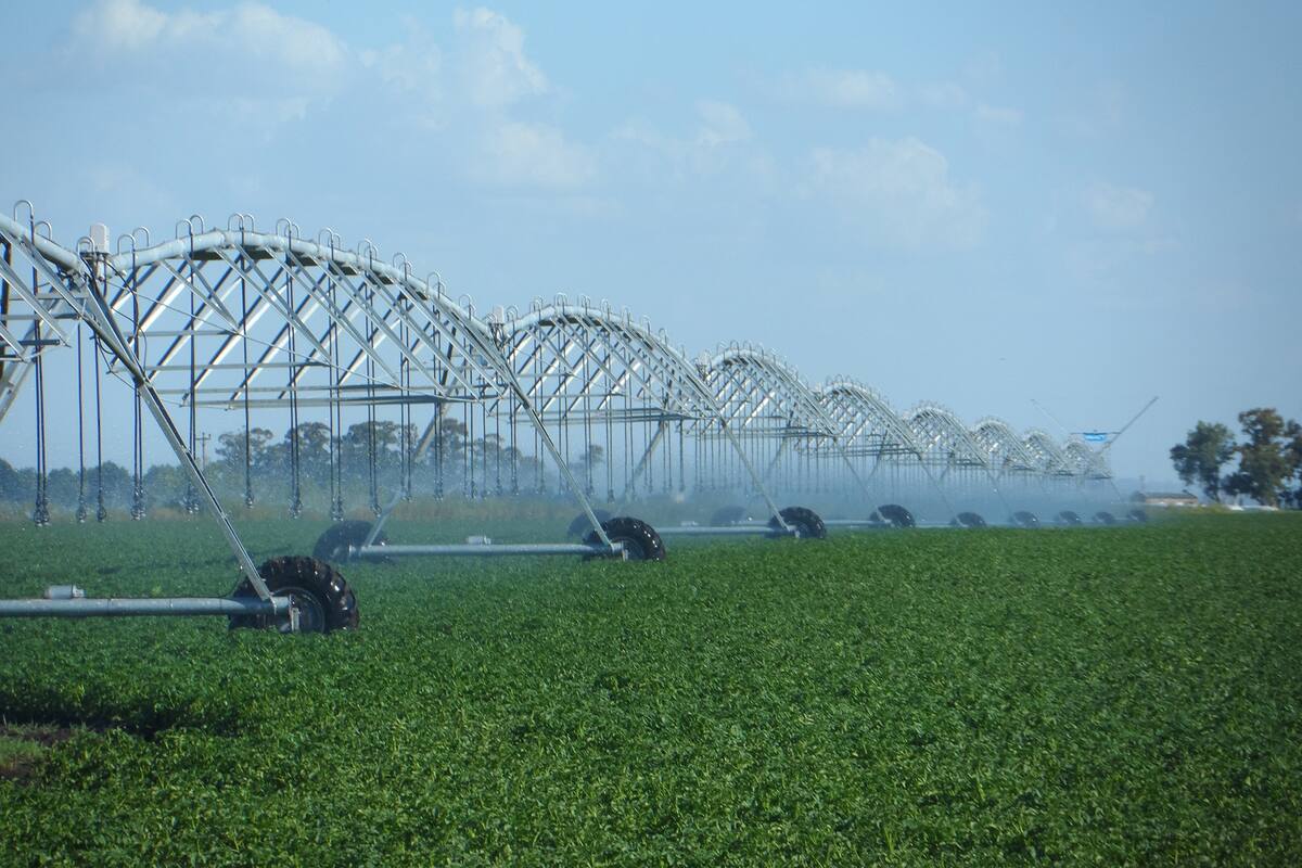 El riego, tecnología agrícola fundamental para la producción