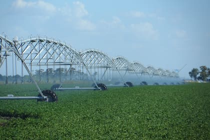 El riego, tecnología agrícola fundamental para la producción