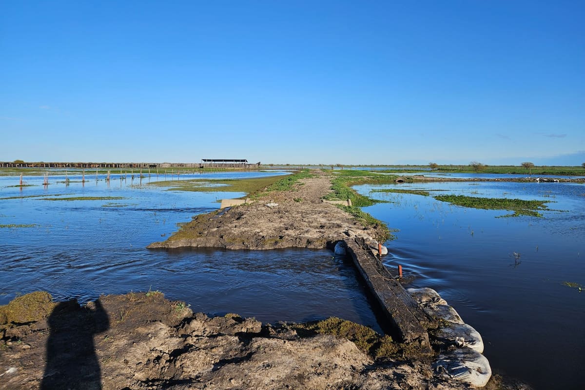 El riesgo climático dejó de ser estacional para volverse sistémico: se propaga por toda la cadena de valor, desde la producción hasta la logística, la energía y, en última instancia, el financiamiento de las empresas que dependen de que esa cadena no se corte