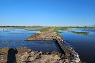 El Niño no es solo un problema del campo: es un riesgo de toda la cadena de valor