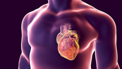 El riesgo de afecciones cardiacas aumenta con la edad