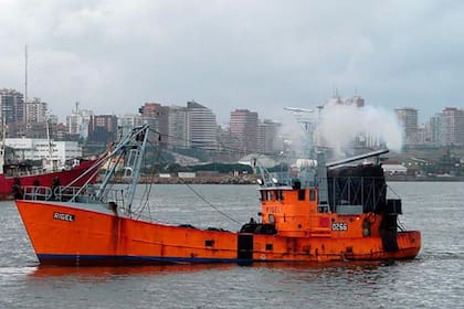 El Rigel tiene 27 metros de eslora, 6,10 de manga, 3,10 de puntal y su puerto de asiento es la ciudad bonaerense de Mar del Plata.
