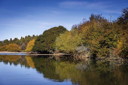 El río Carrileufú nace en el lago Cholila y es uno de los mejores sitios para la pesca con mosca