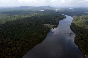 El río Esequibo fluye a través del cruce Kurupukari en Guyana. (AP Foto/Juan Pablo Arraez, archivo)