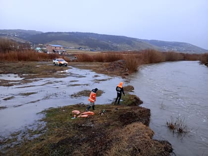El río Los Antiguos desbordado