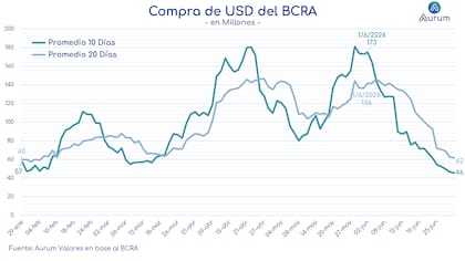 El ritmo de compras de divisas del Banco Central se desaceleró durante junio. Según Aurum Valores, influyeron una menor liquidación del agro y una reducción en las emisiones de deuda corporativa en dólares, que habían aumentado la oferta de divisas en los primeros meses del año.
