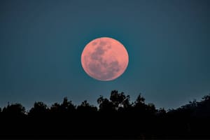El ritual durante la Luna Rosa para atraer el amor