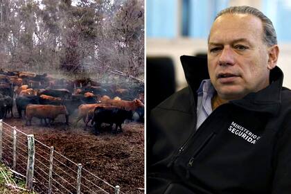 El robo de la hacienda en Bolívar motivó la intervención de Sergio Berni