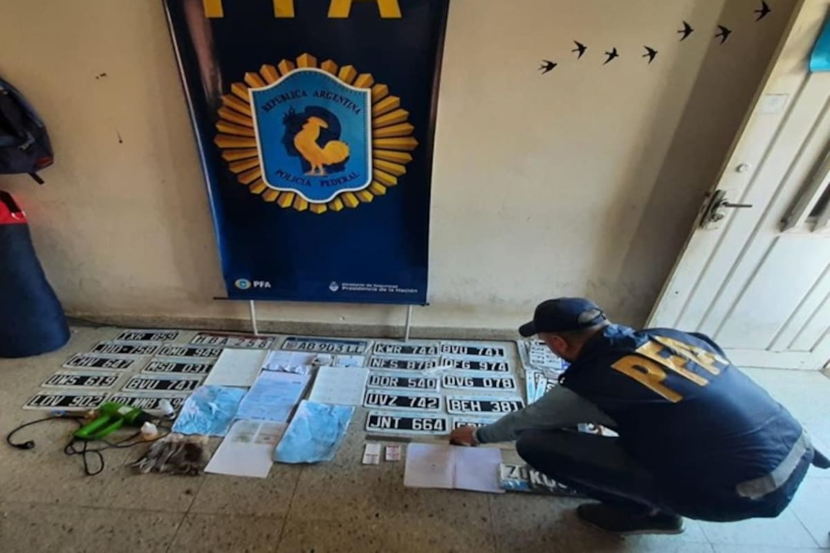 El robo de patentes y la falsificación de chapas de vehículos, un negocio ilegal en aumento