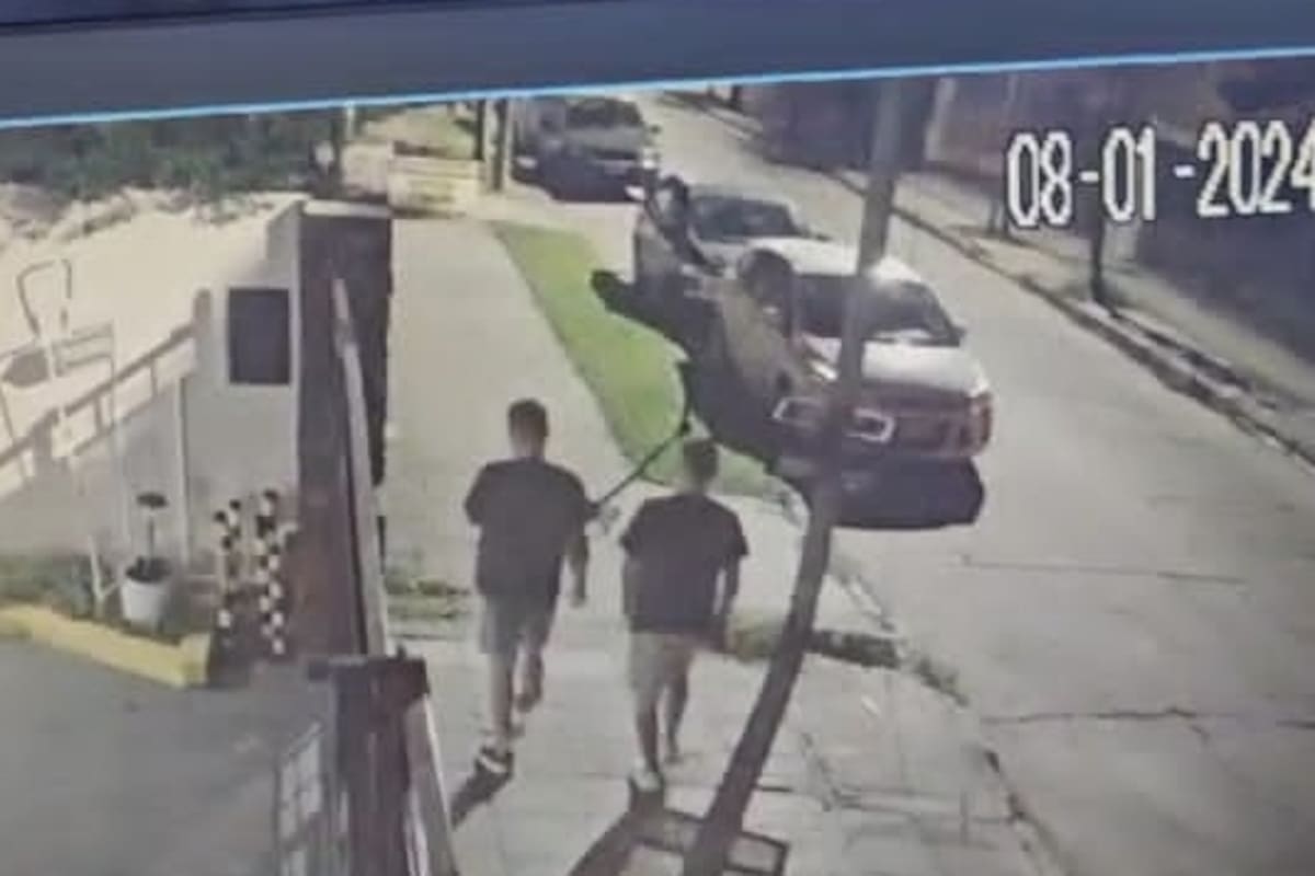 El robo quedó grabado en cámaras de seguridad