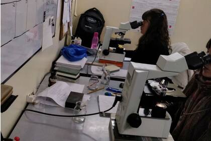 El robo se produjo en el Centro Nacional de Genética Médica, que funciona en las instalaciones del Hospital de Agudos "Bernardino Rivadavia", de Recoleta