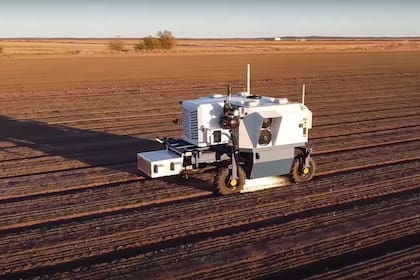 El robot Autonomous Weeder en acción, un vehículo equipado con cámaras, sensores y un potente láser para eliminar de forma selectiva las malezas en un cultivo