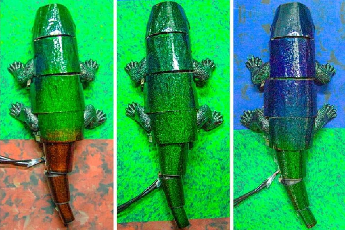 El robot camaleón que crearon en la universidad de Seúl cambia de color según el terreno por el que camina