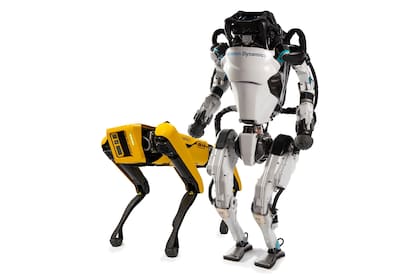 El robot cuadrúpedo Spot y el androide Atlas de Boston Dynamics ahora pasarán a formar parte del grupo automotriz surcoreano Hyundai, tras un acuerdo con SoftBank valuado en 1100 millones de dólares