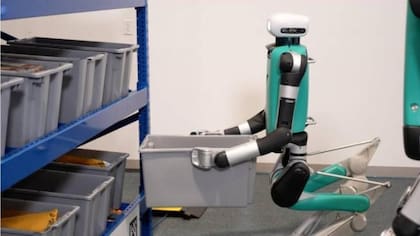 El robot puede trasladar hasta 15 kg de carga y funcionar 24 horas sin descanso, según sus fabricantes.
Foto: Página oficial Agility Robotics