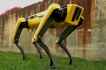 El robot Spot será el encargado de controlar el distanciamiento social en el parque público más grande de Singapur