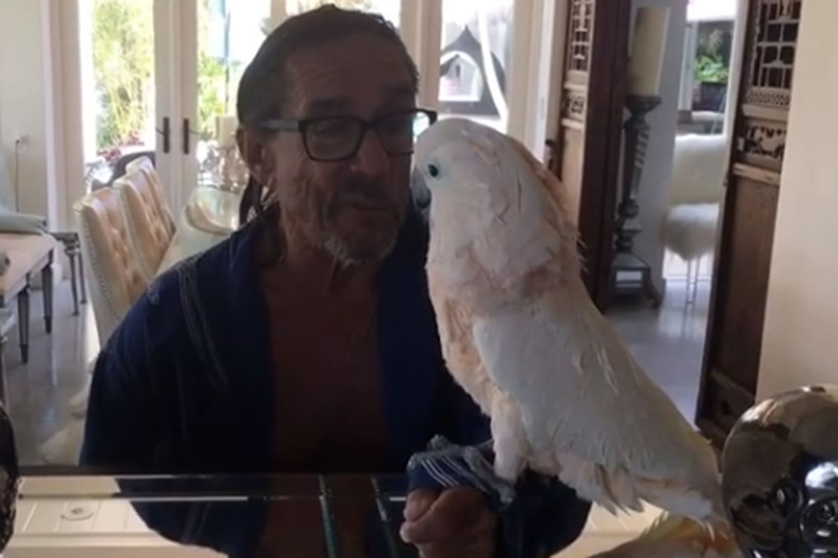 El rockero compartió un clip de terror acompañado de su mascota