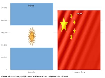 El rodeo porcino proyectado para 2026 en el escenario de mayores inversiones chinas
