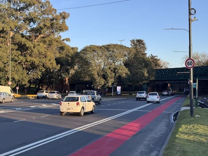 El rojo es el tono que identifica a los carriles exclusivos del transporte público porteño