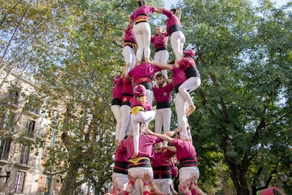 El rol de cada miembro de la "colla" (grupo) es esencial para el éxito de la torre. La comunicación, la coordinación y la confianza mutua son cruciales para alcanzar el objetivo. Lideran y coronan la construcción los más jóvenes sostenidos por los adultos