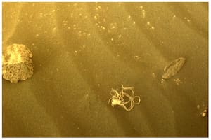 El rover Mars Perseverance de la NASA adquirió esta imagen la semana pasada.