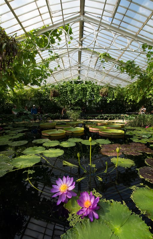 El Royal Botanic Garden de Londres, entre los más destacados del mundo, tiene múltiples estructuras vidriadas para resguardar las especies diversas que protege.